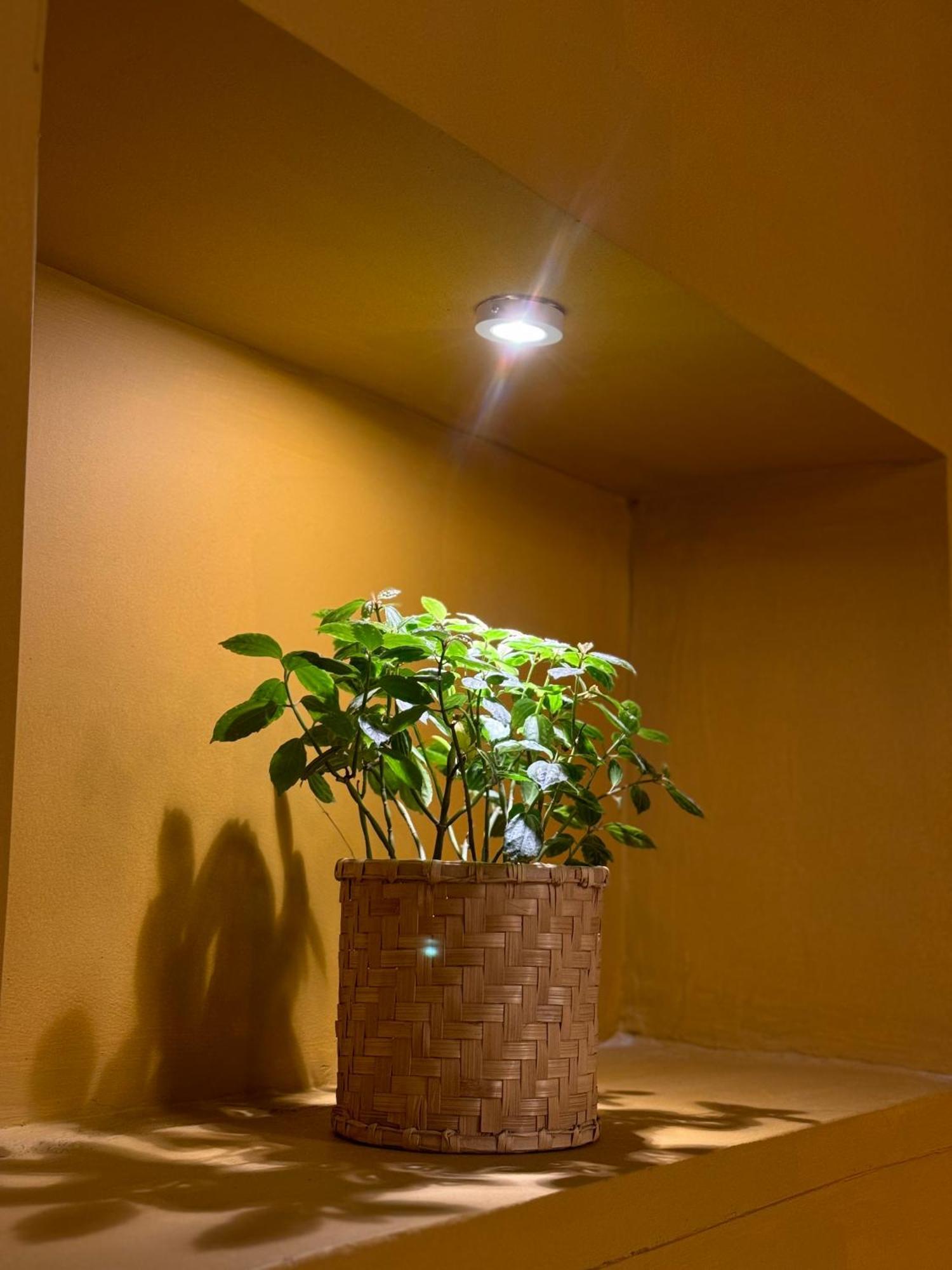 The Melo Pomelo Courtyard. Apartman Katmandu Kültér fotó